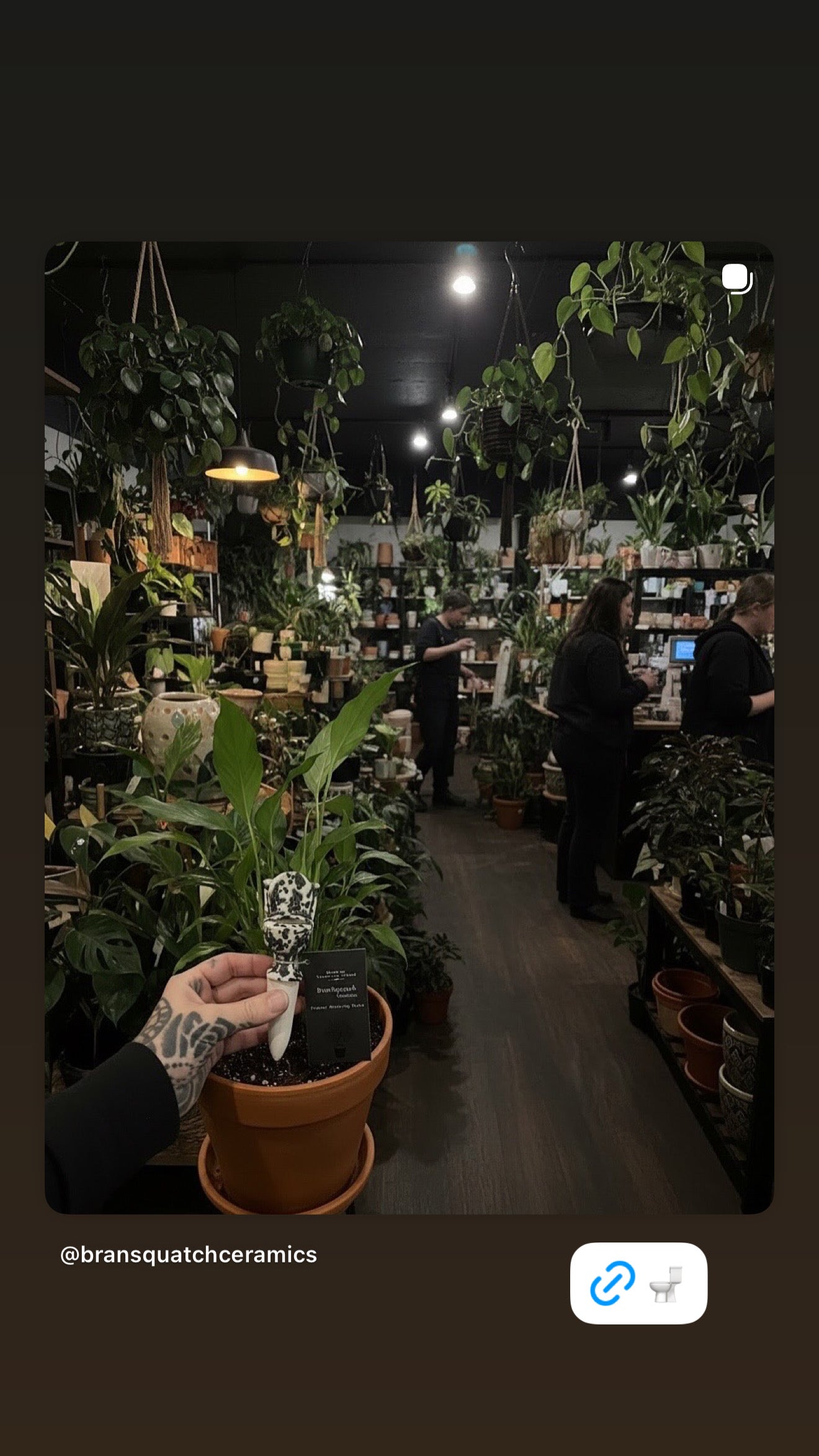 Toilet Planter Water Stake